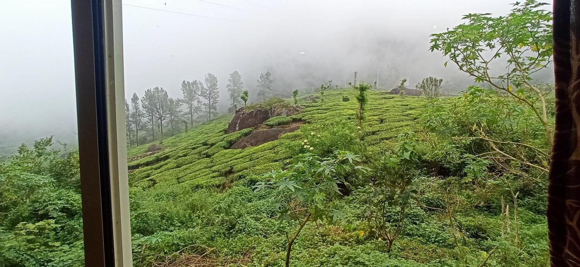 Tea Dale - All Rooms With Tea Estate View Munnar Exterior photo